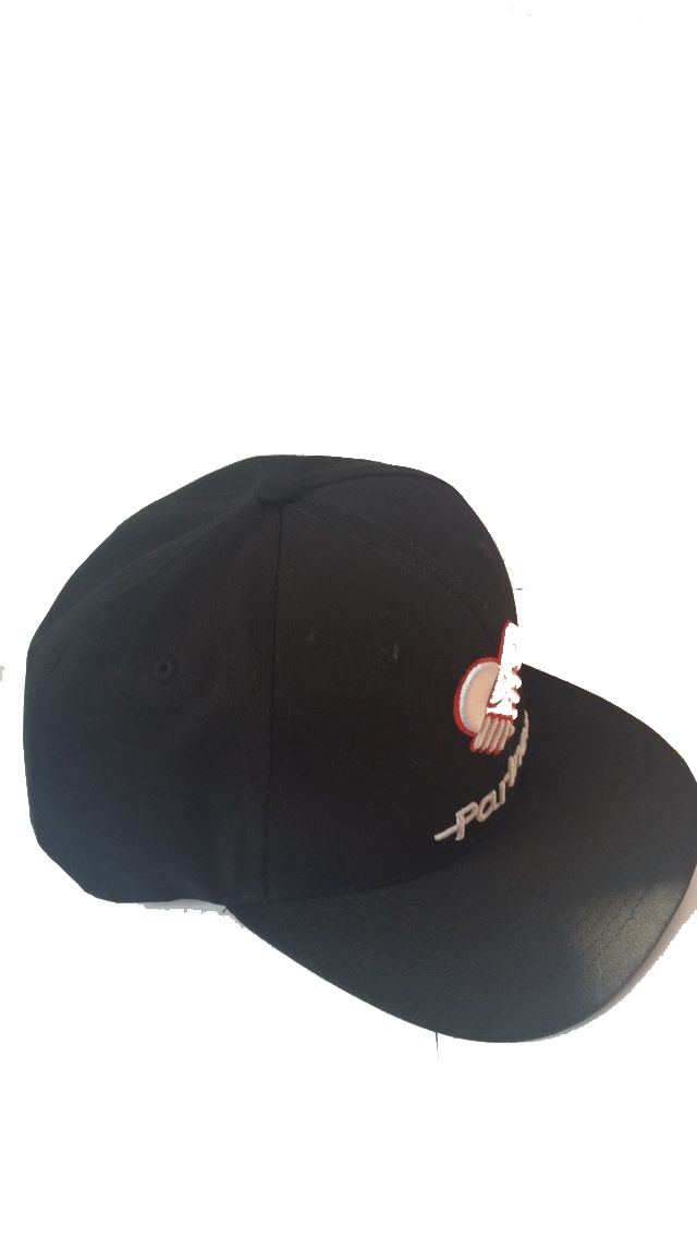 Partner Headwear Snapback cap