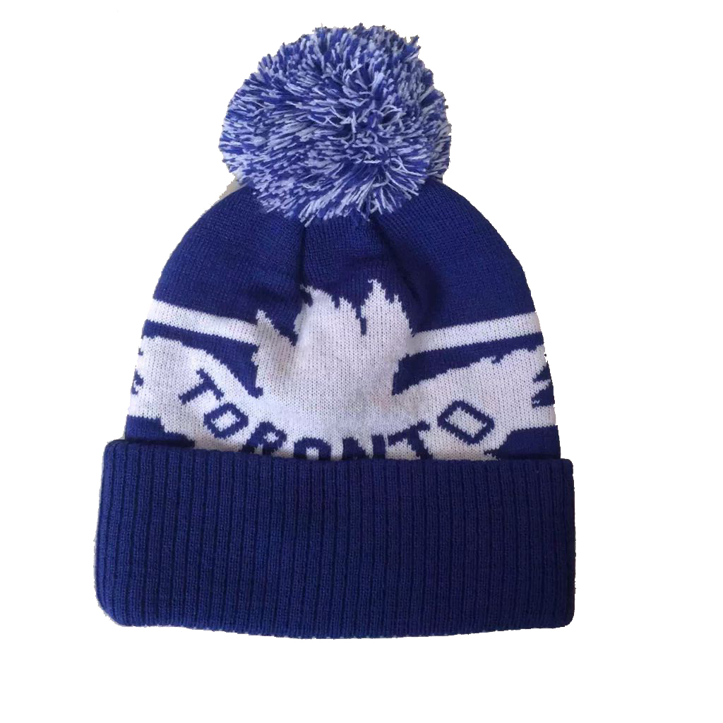 Fashion beanie hats