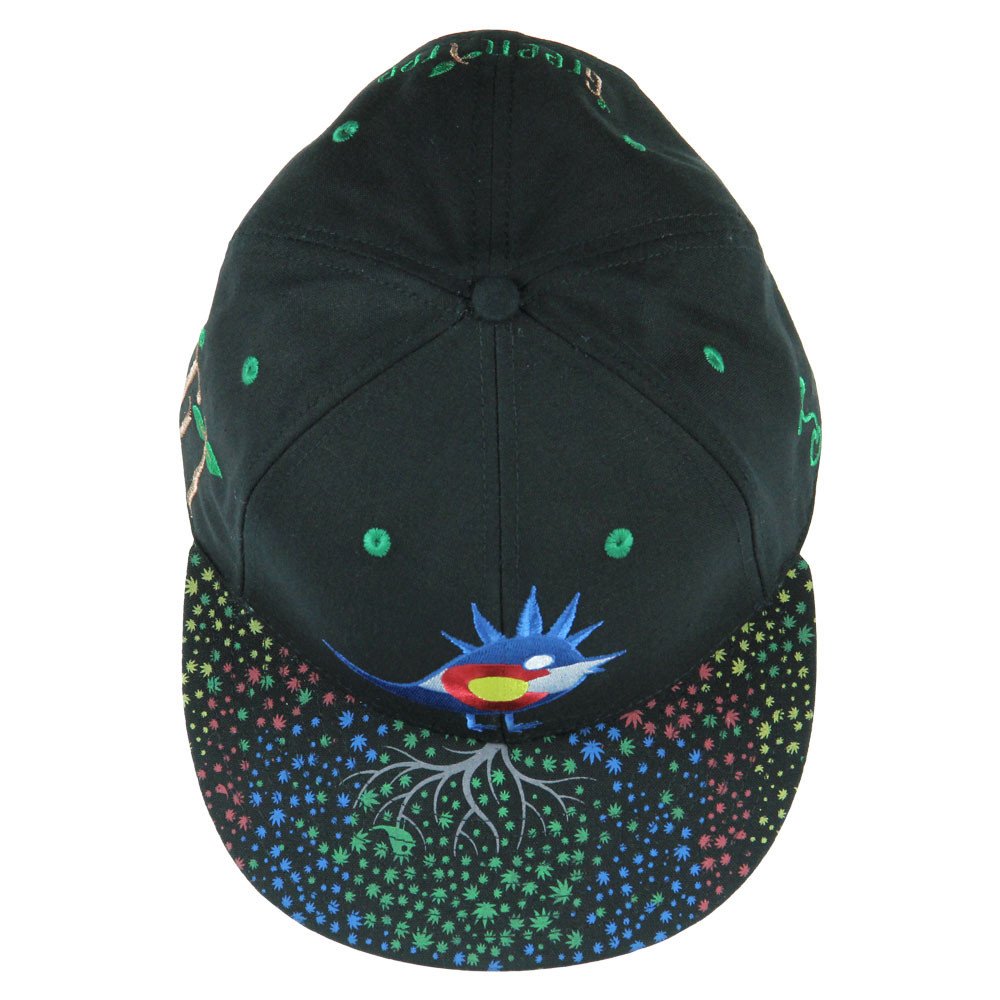 Custom fashion snapback cap custom logo