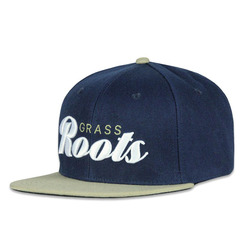 Newest snapback cap 3D embroidery