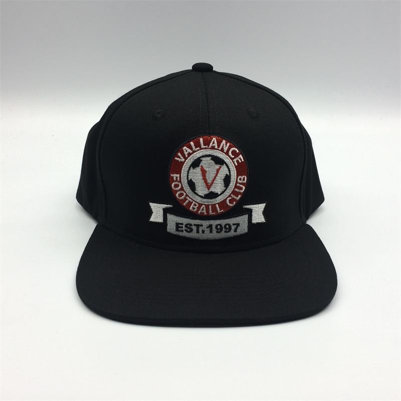 Professional OEM fashion 3d embroidery wholesale baseball cap hats and snapback cap custom logo