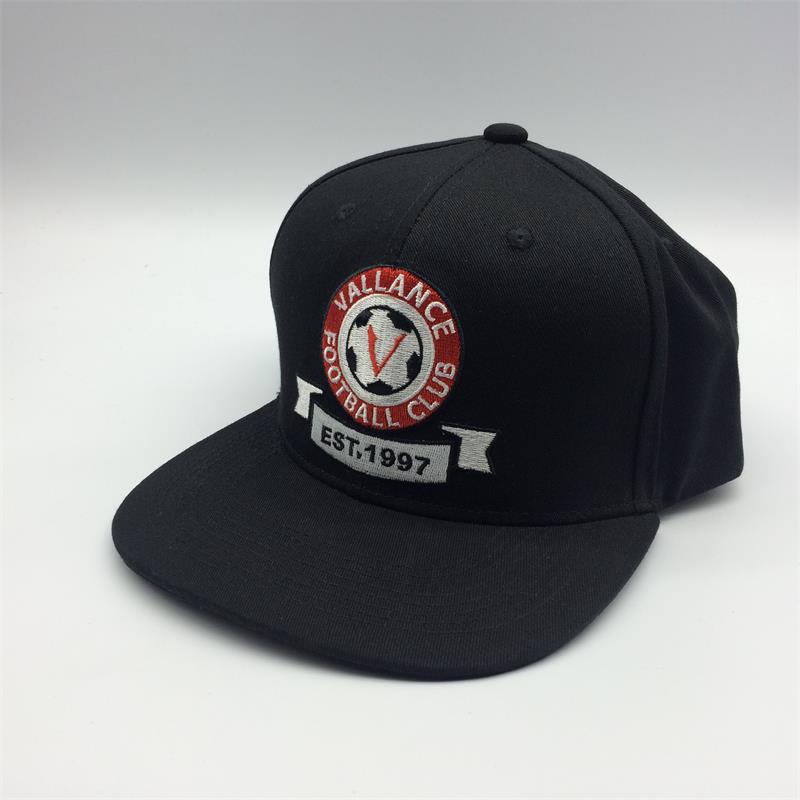 Professional OEM fashion 3d embroidery wholesale baseball cap hats and snapback cap custom logo