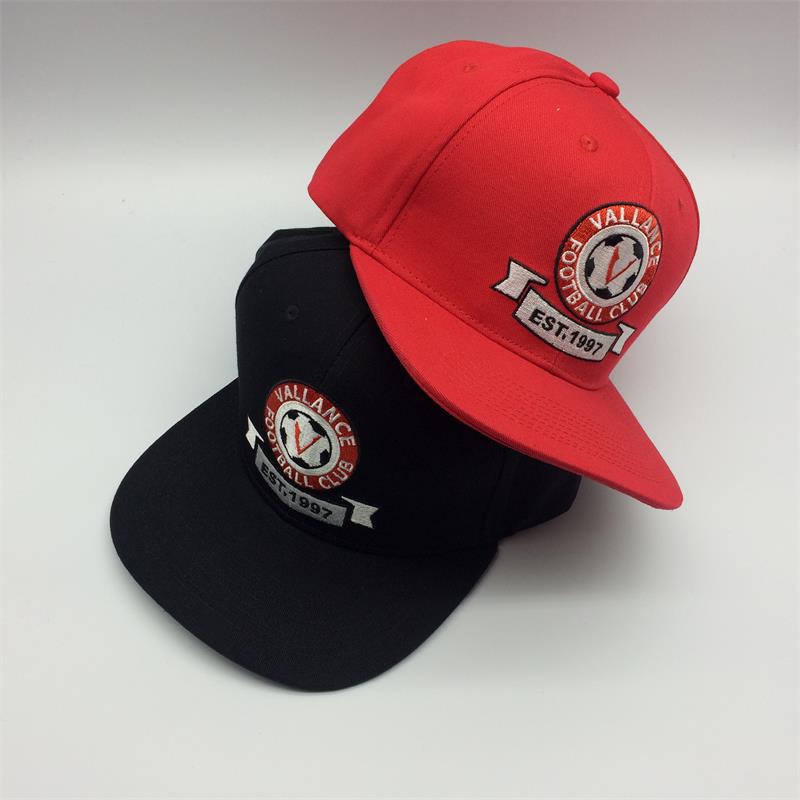 Professional OEM fashion 3d embroidery wholesale baseball cap hats and snapback cap custom logo