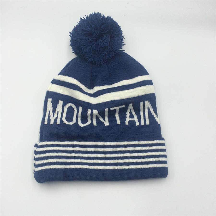 double pompom beanie embroidered custom logo beanie hat