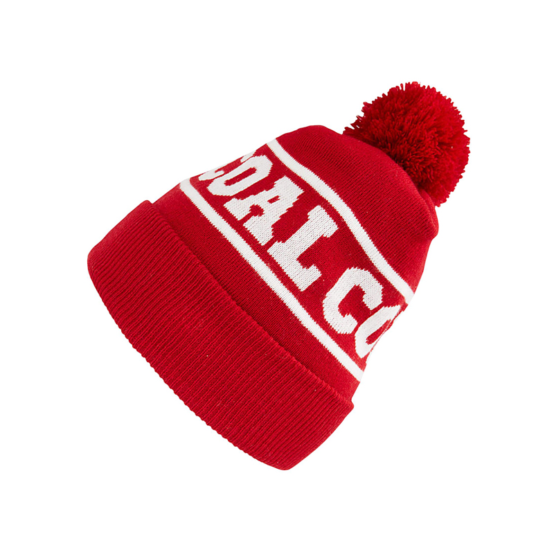 Promotional custom embroidery polyester ski cuff beanie hat