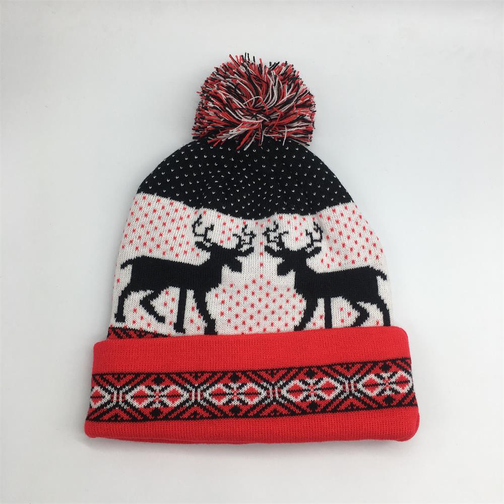 HOT SALE jacquard knit pom beanie with Embroidery beanie hat good offer