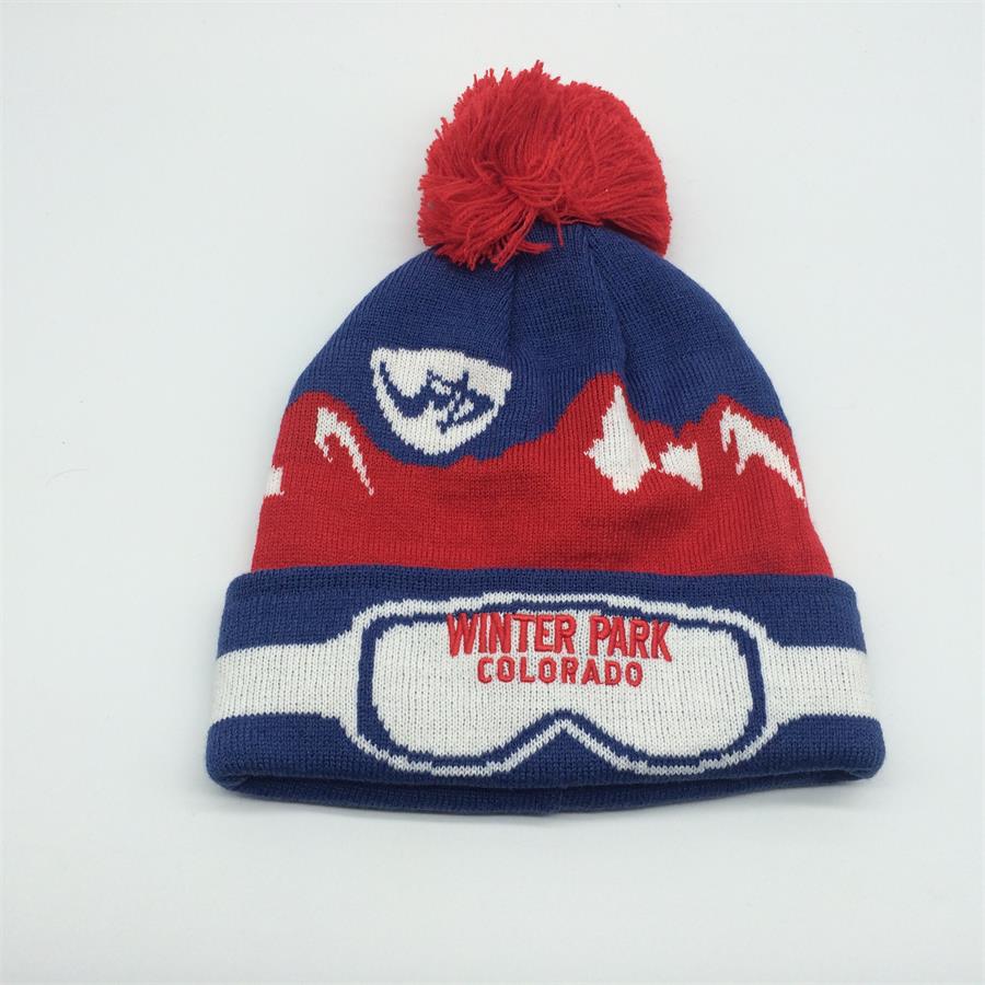 HOT SALE jacquard knit pom beanie with Embroidery beanie hat good offer